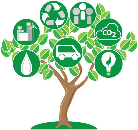 Число заявок на премию Zayed Sustainability Prize 2020 выросло на 13 процентов