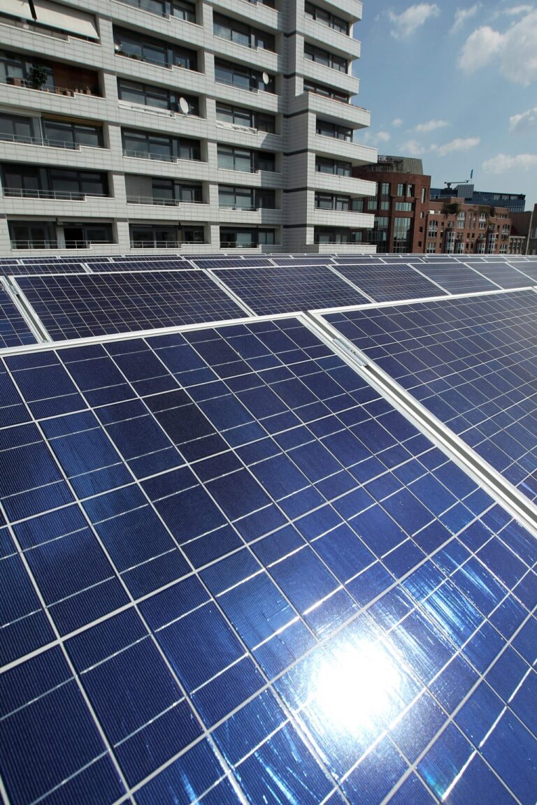Enviromena нацелилась на рынок солнечной энергии Иордании мощностью 600 МВт