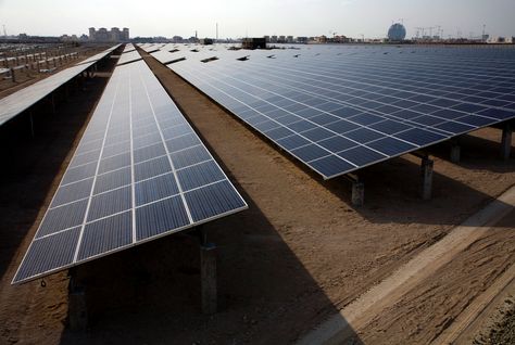 RWE, JinkoSolar участвуют в тендере на поставку 800 МВт солнечной энергии